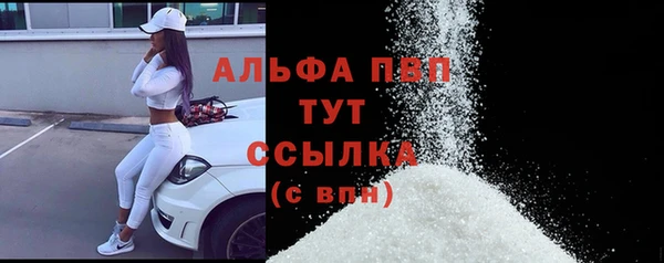 стаф Волоколамск