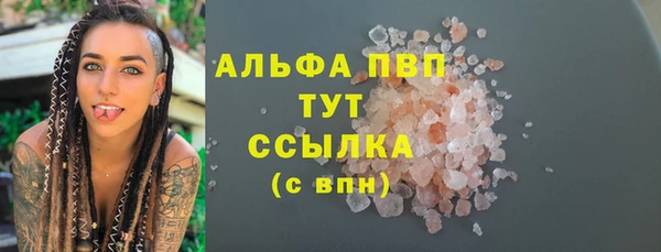 стаф Волоколамск