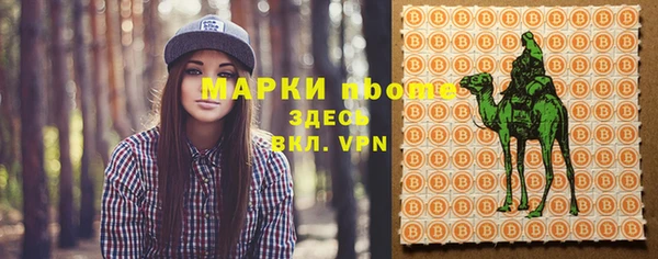 шишки Володарск