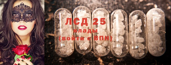 шишки Володарск