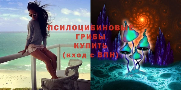 шишки Володарск